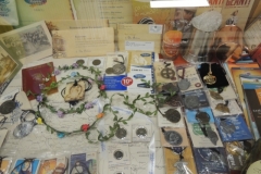 DSCN6103